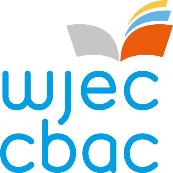 The WJEC CBAC Excellence Award for Outstanding Pupil: 