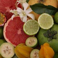 Caribbean Fruit Cocktails